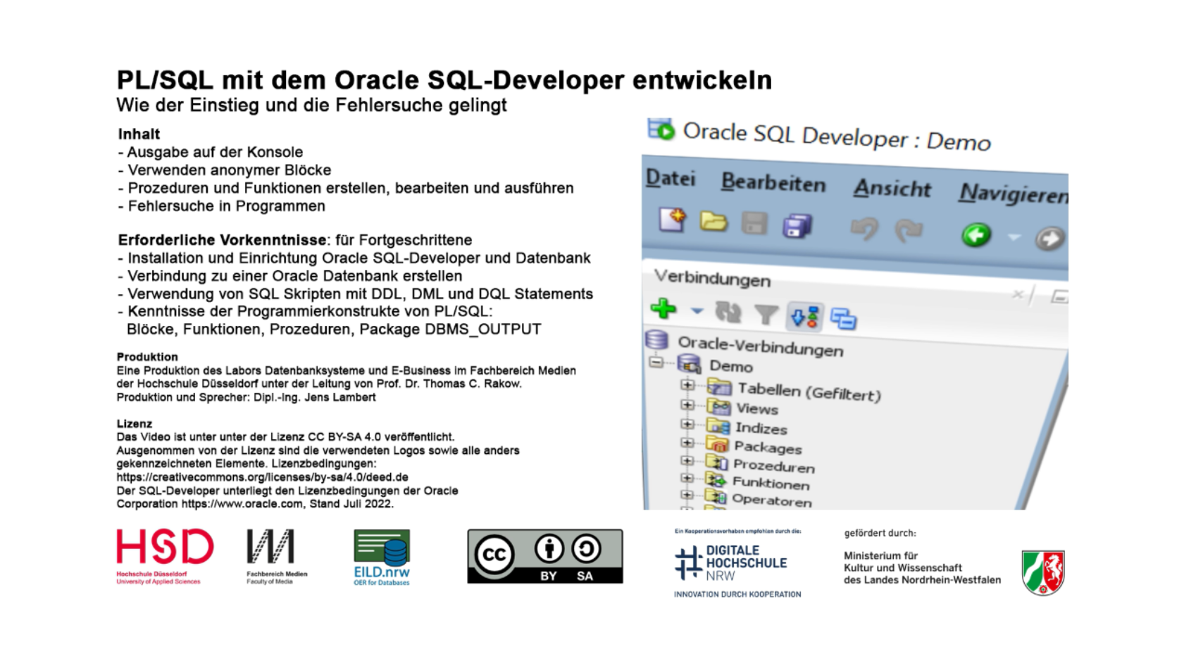 Screenshot Lehrvideo PL/SQL mit dem Oracle SQL-Developer entwickeln